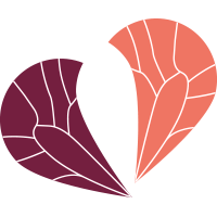 Picto-CARRE-coeurs-corail